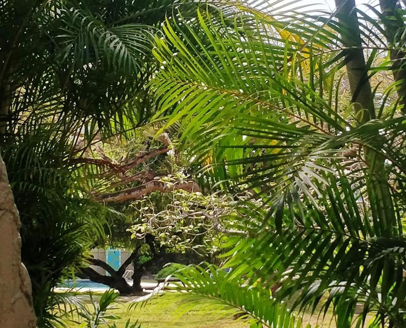 1Br, 24Hr Security - City Charm With Poolside Peace Port of Spain